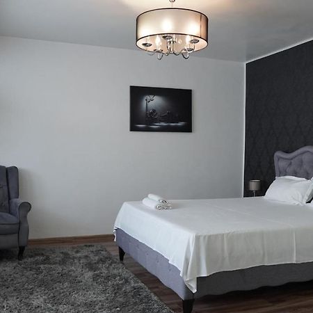 Luxury 1Br Studio Near Hanul Drumetului Bucureşti Eksteriør bilde